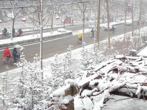 郑州大雪